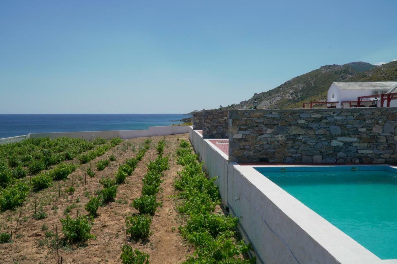Anefanti Villas Agios Kirykos  Bagian luar foto